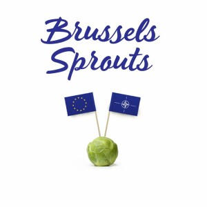 Kicking-off the Next Season of Brussels Sprouts with Amb. Nicholas Burns