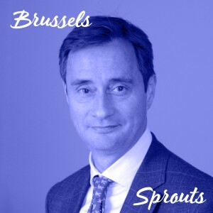 Rethinking UK’s Brexit Strategy: Tidbits from the Chatham House Director