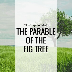 Sermon: The Parable of the Fig Tree (Mark 11:12-26)