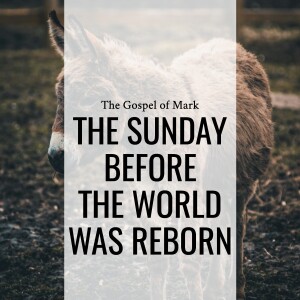 Sermon: The Sunday Before The World Was Reborn (Mark 11:1-11)
