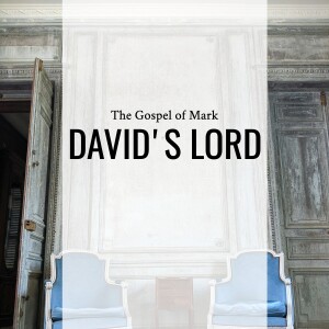 Sermon: David's Lord (Mark 12:28-44)