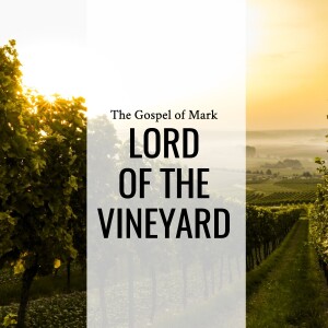 Sermon: Lord of the Vineyard (Mark 12:1-12)