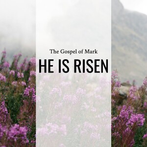 Sermon: He Is Risen (Mark 16:1-14)