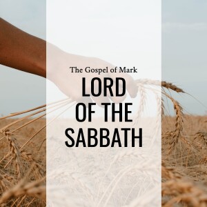 Sermon: Lord of the Sabbath (Mark 2:18-3:6)