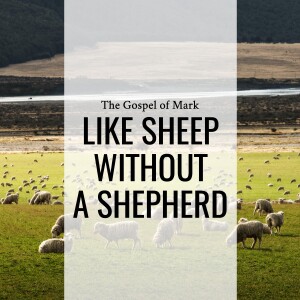 Sermon: Like Sheep Without A Shepherd (Mark 6:30-44)