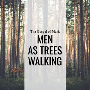 Sermon: Men As Trees Walking (Mark 8:22-33)