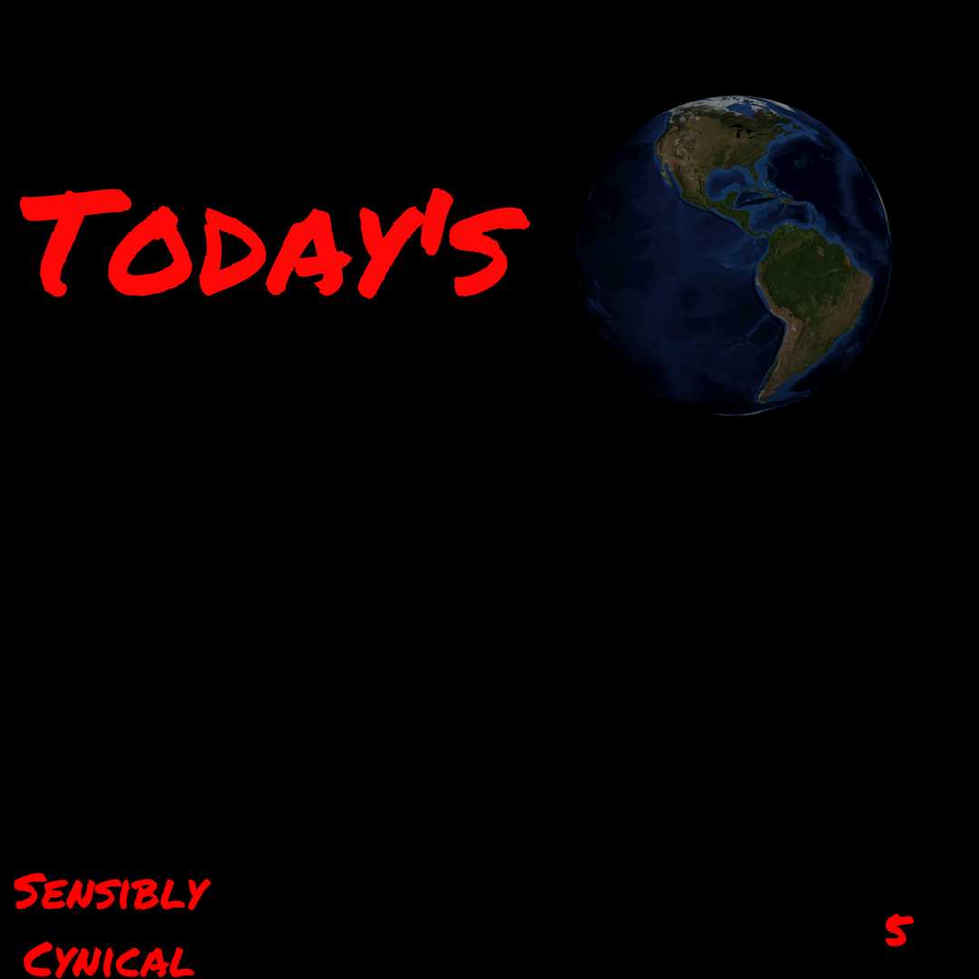 Sensibly Cynical - Today's World 5
