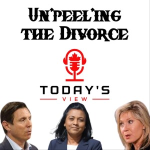 (Video Podcast) Episode 6 - Unpeeling the divorce