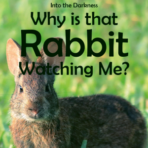 189_Why is that Rabbit Watching Me? version 1 - Call of Cthulhu RPG