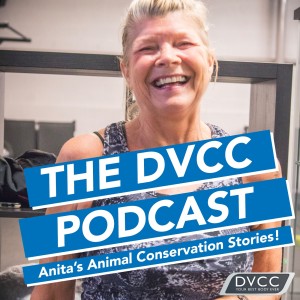 DVCC Client Stories - Anita's Animal Conservation