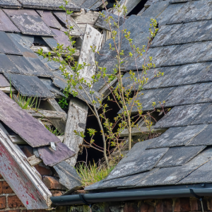 Coastside Roofing – Tips for Repairing Water Damage from a Roof Leak