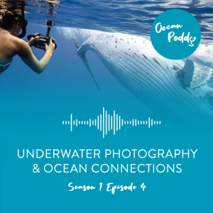 #4 Underwater Photography & Ocean Connections with Taylor Henley