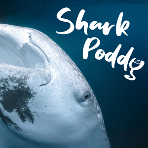 #13 Shark Poddy: SOS Galapagos