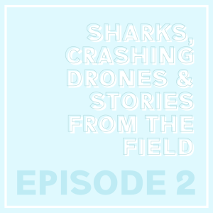 #2 Sharks, Crashing Drones & Stories From The Field with Cat Cushenan