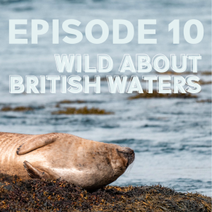 #10 Wild About British Waters with Lizzie Daly