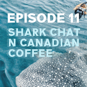#11 Shark Chat n Canadian Coffee with Steve Woods