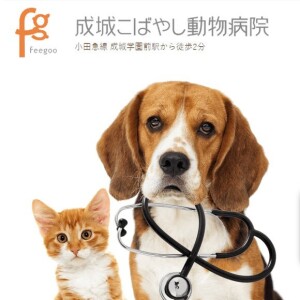 0418 Kobayashi Animal Clinic