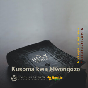 Kusoma kwa Mwongozo