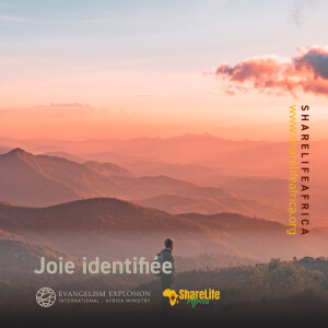 Joie identifiée
