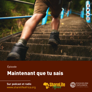 Maintenant que tu sais