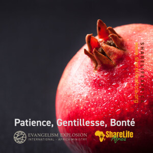 Patience, Gentillesse, Bonté