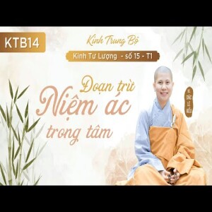 212. Đoạn trừ niệm ác trong tâm - Kinh Trung Bộ - Kinh Tư Lượng - Phần 1 - SC. Giác Lệ Hiếu