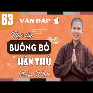 215. Vấn đáp Phật Pháp kỳ 63: Thực tập buông bỏ hận thù - SC. Giác Lệ Hiếu