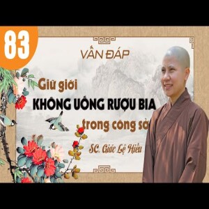 264. Vấn đáp: Giữ giới không uống rượu bia trong công sở - SC. Giác Lệ Hiếu