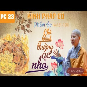 119. Chớ khinh điều ác nhỏ. Kinh Pháp Cú. Phẩm Ác (Kệ 123-128) SC. Giác Lệ Hiếu