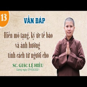 95. Vấn đáp: Hiến mô tạng, ký ức tế bào và ảnh hưởng tính cách từ người cho - SC. Giác Lệ Hiếu