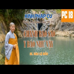 106. Chánh báo sao Y báo như vậy. Kinh Pháp Cú 18. Phẩm A-la-hán, câu kệ 96-99. SC. Giác Lệ Hiếu
