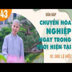173. Vấn đáp: Chuyển hóa nghiệp ngay trong đời hiện tại - SC. Giác Lệ Hiếu