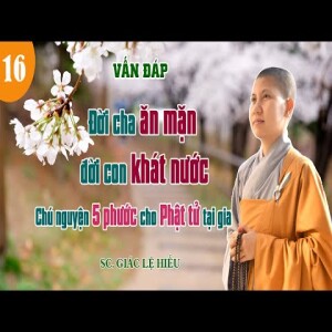 102. Vấn đáp Phật Pháp trực tuyến. SC. Giác Lệ Hiếu