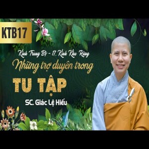 220. Những trợ duyên trong tu tập - Kinh Trung Bộ - Kinh Khu rừng - SC. Giác Lệ Hiếu
