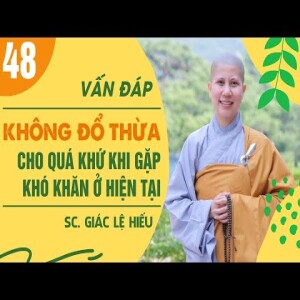 181. Vấn đáp: Không đổ thừa cho quá khứ khi gặp khó khăn ở hiện tại - SC. Giác Lệ Hiếu