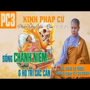 75. Sống chánh niệm và hộ trị các căn - Kinh Pháp Cú 3 - Phẩm Song Yếu - 7-10-19-20 - SC. Giác Lệ Hiếu