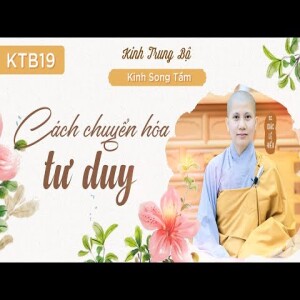 225. Cách chuyển hóa tư duy - Kinh Trung Bộ - Kinh Song Tầm - SC. Giác Lệ Hiếu