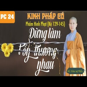 120. Đừng làm tổn thương nhau. Kinh Pháp Cú. Phẩm Hình Phạt. Kệ 129-145
