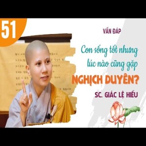185. Vấn đáp: Con sống tốt nhưng lúc nào cũng gặp nghịch duyên? - SC. Giác Lệ Hiếu
