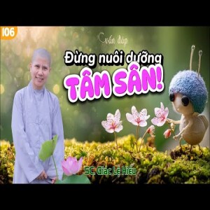 358. Vấn đáp: Oan trái nên giải, không nên kết - SC. Giác Lệ Hiếu