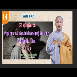 98. Vấn Đáp Phật Pháp - SC. Giác Lệ Hiếu