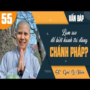 193. Vấn đáp: Làm sao để biết hành trì đúng chánh pháp? - SC. Giác Lệ Hiếu