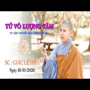 Tứ vô lượng tâm - Tu tập chuyển hóa tham sân si -  SC. Giác Lệ Hiếu