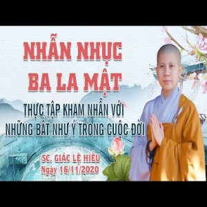 Nhẫn nhục ba la mật - Thực tập kham nhẫn với những bất như ý trong cuộc đời - SC. Giác Lệ Hiếu