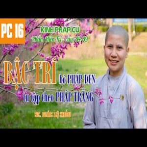 103. Bậc trí bỏ pháp đen, tu tập theo pháp trắng. Kinh Pháp Cú 16. SC. Giác Lệ Hiếu