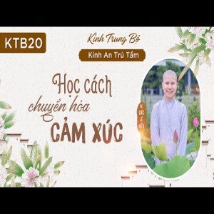 226. Học cách chuyển hóa cảm xúc - Kinh Trung Bộ - Kinh An Trú Tầm - SC. Giác Lệ Hiếu