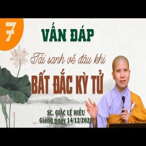 Vấn đáp: Tái sanh về đâu khi BẤT ĐẮC KỲ TỬ - SC. Giác Lệ Hiếu
