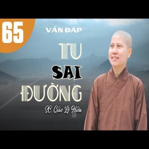 219. Vấn đáp: Tu sai đường - SC. Giác Lệ Hiếu