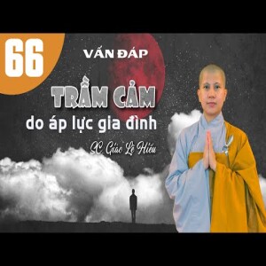 221. Vấn đáp: Trầm cảm do áp lực gia đình - SC. Giác Lệ Hiếu