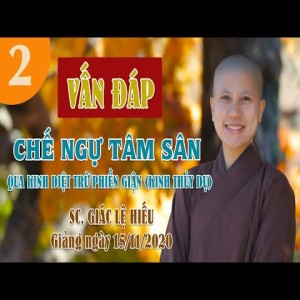 Vấn đáp: Chế ngự tâm sân qua kinh Diệt trừ phiền giận (kinh Thủy dụ) - SC. Giác Lệ Hiếu